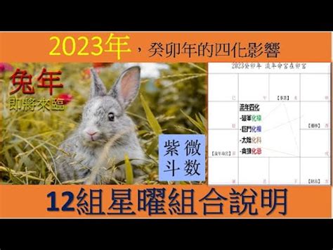 2023流年祿存|2023年，癸卯年，紫微斗數流年運勢分析